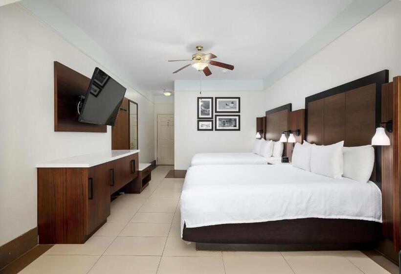 标准间, Sand Rose Beach Resort