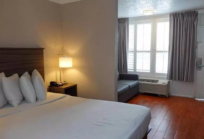 ジュニアスイート, Melbourne All Suites Inn Near I95