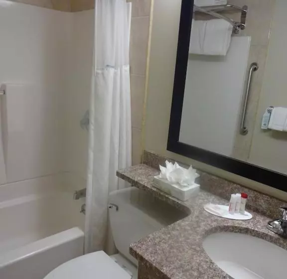 キングサイズベッドのデラックスルーム, Ramada By Wyndham Staten Island