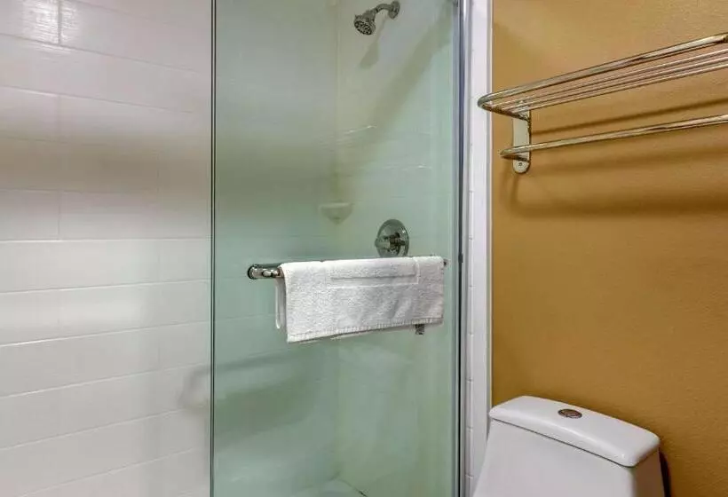 スタンダードルーム, Quality Inn & Suites Pawleys Island