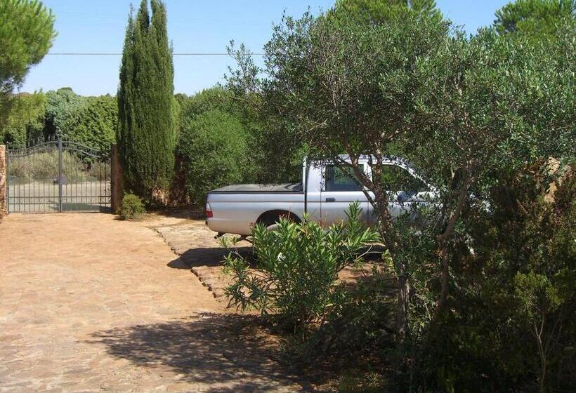 Студия Стандарт, B&b Domus Oriens   Monolocale Indipendente In Villa
