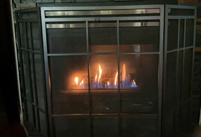 סוויטת אקזקיוטיב 2 חדרים, Songbirds Rainforest Retreat