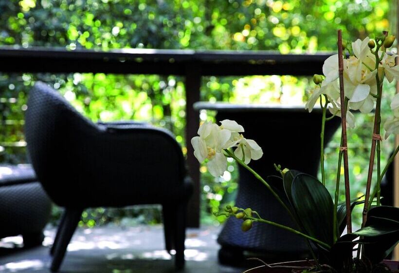 סוויטה דלוקס, Songbirds Rainforest Retreat