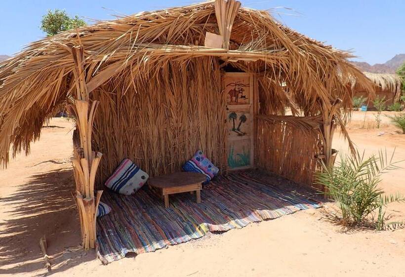 اتاق کلاسیک سه تخته, Bedouin Star