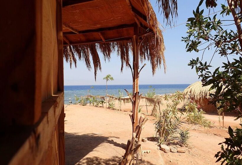 بانگلوی لوکس, Bedouin Star