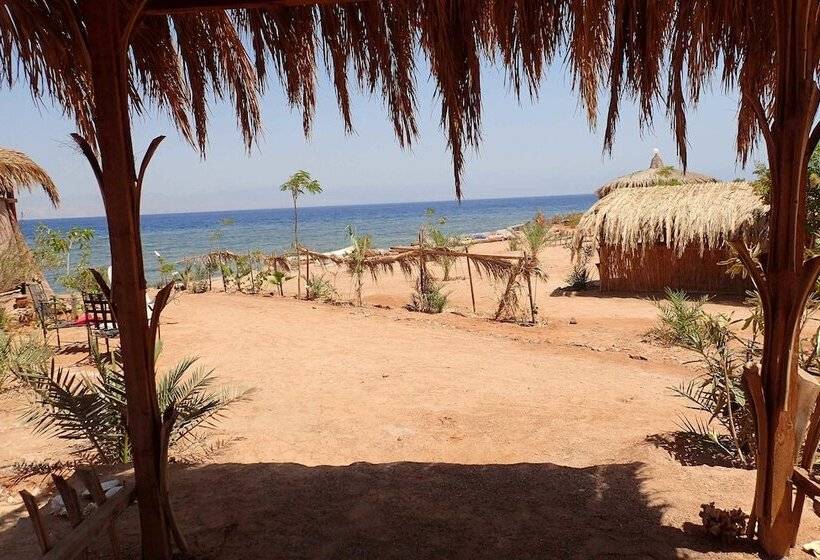 بانگلوی لوکس, Bedouin Star