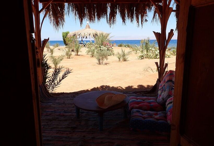 بانگلوی لوکس, Bedouin Star