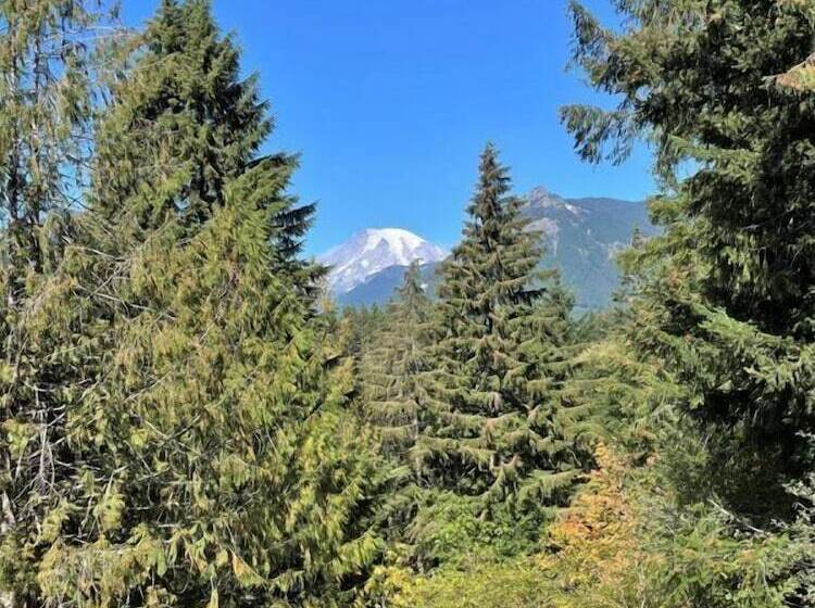 Хижина, Valley View Cabin