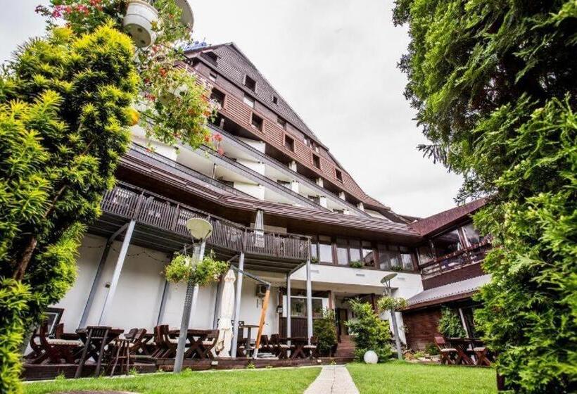 آپارتمان لوکس 1 خوابه, Alpin Resort Apartments Deluxe 2406