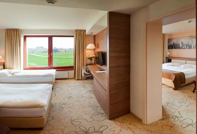 スパアクセス付スタンダードルーム, Grund Resort Golf And Ski