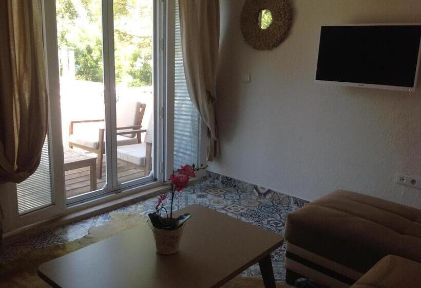 园景标准四人间, Berg