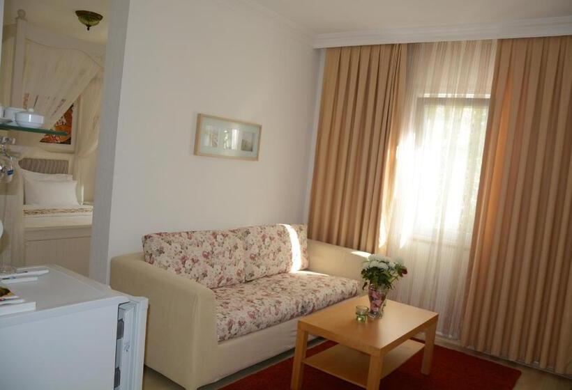 带阳台套房, Berg