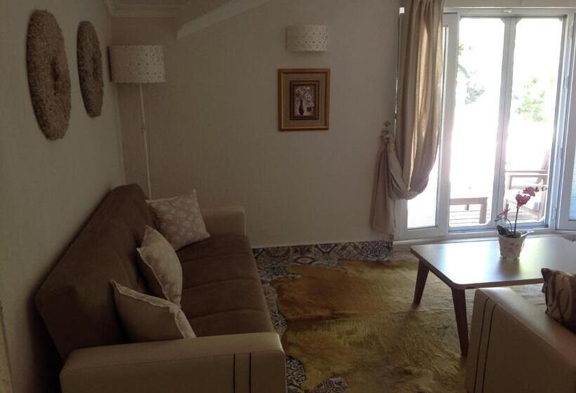 园景标准四人间, Berg