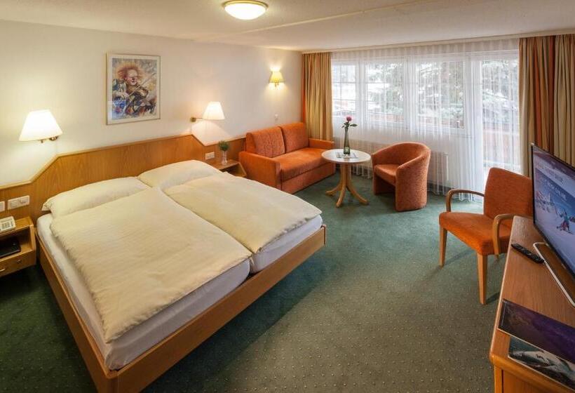 غرفة سوبيريور ذات إطلالة, Cheminee