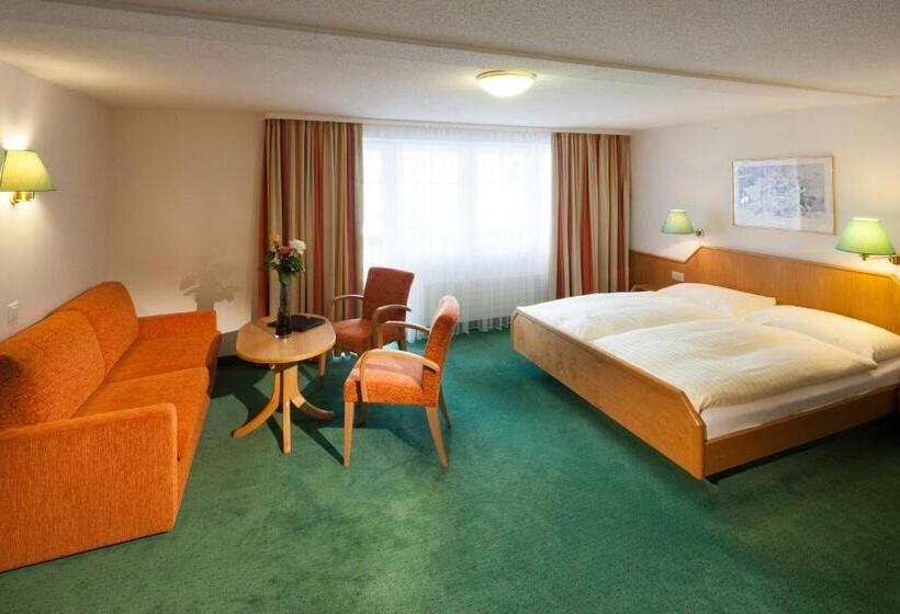 غرفة سوبيريور ذات إطلالة, Cheminee