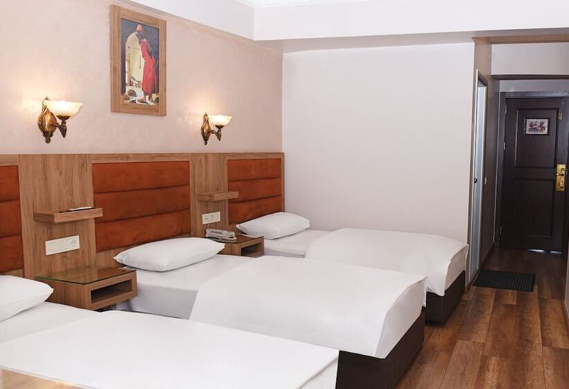 اتاق استاندارد سه نفره, Grand Umit