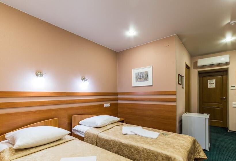 غرفة قياسية, K Vizit