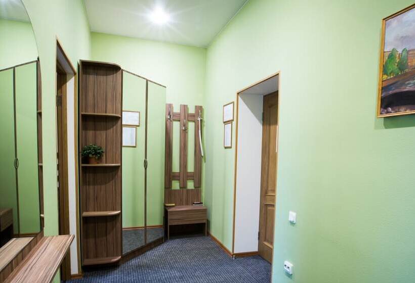 شقة غرفة واحدة, K Vizit