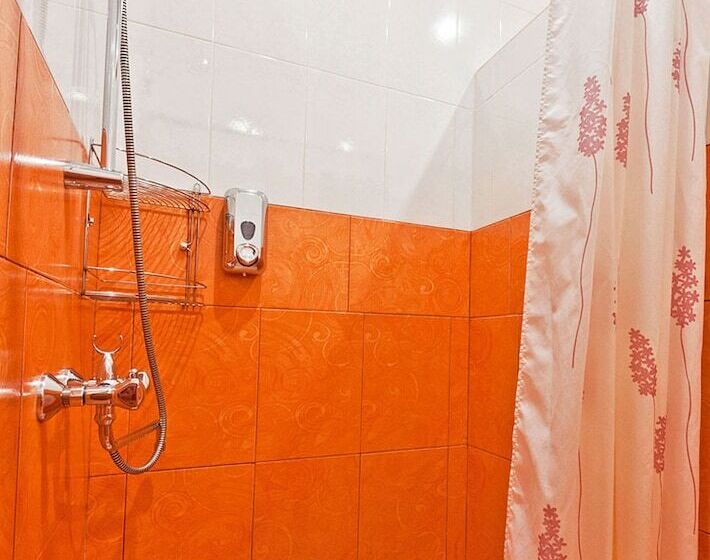 غرفة قياسية, K Vizit