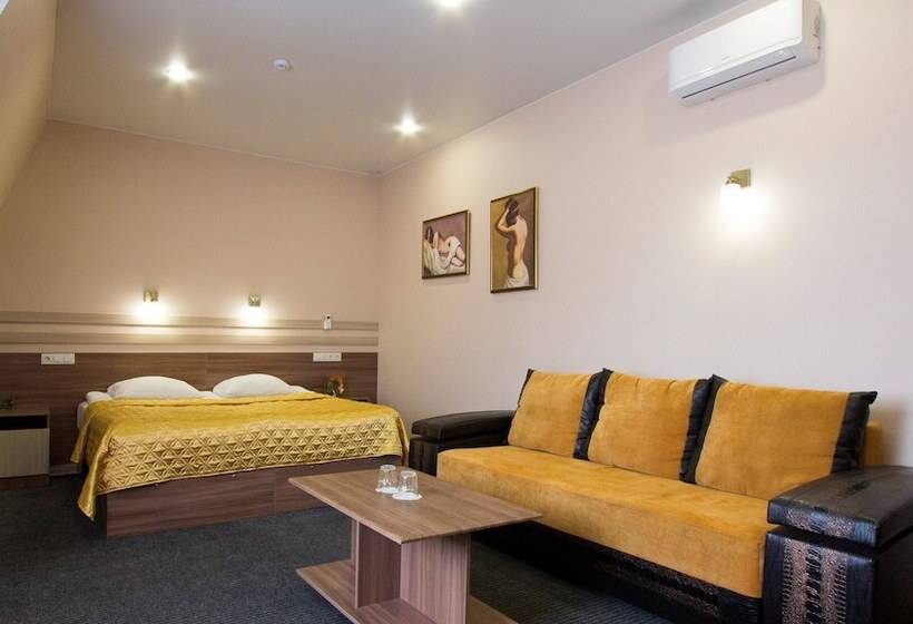 غرفة سوبيريور, K Vizit