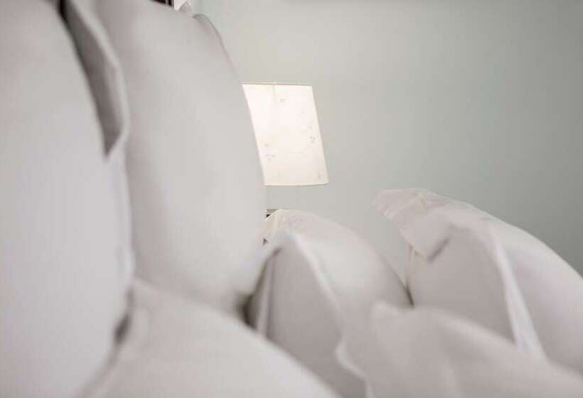 スタンダードルーム, Olaf S Guest House Solar Installed