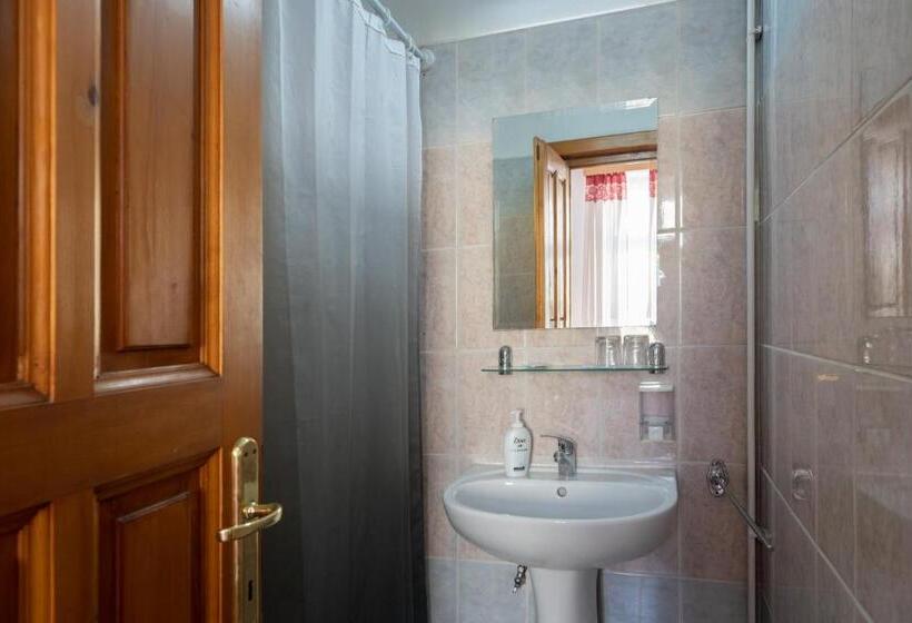 غرفة كلاسيكية فردية, Pension Greenhouse