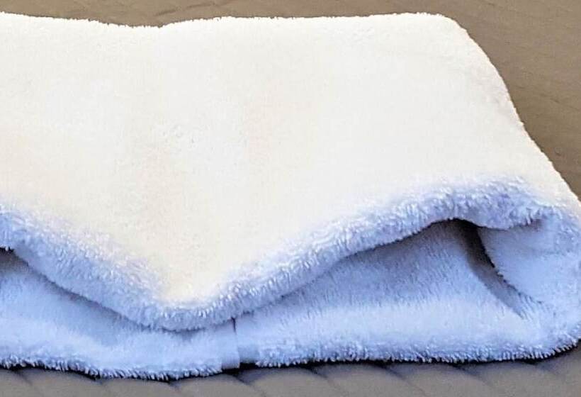 スタンダードルーム, Scsk żurawia