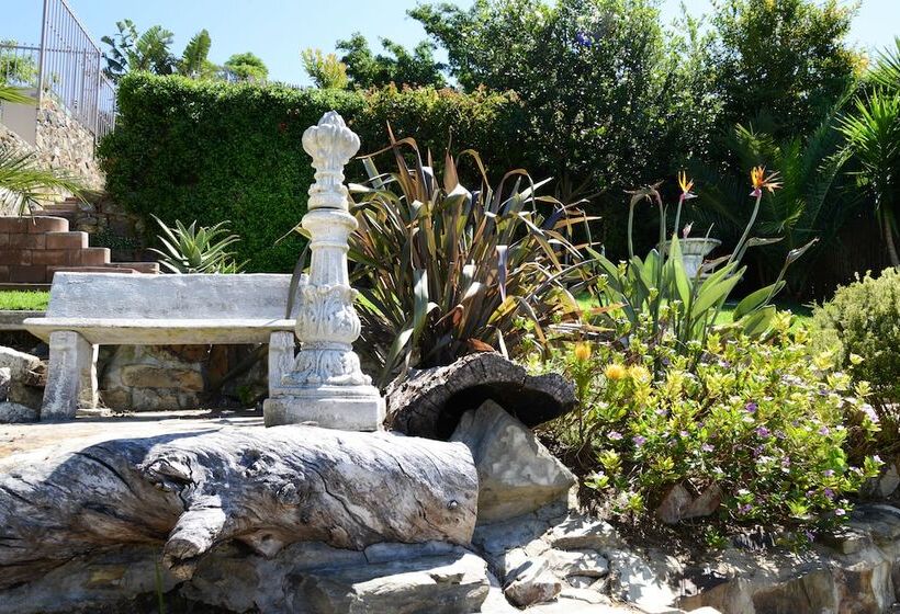 غرفة سوبيريور, Signal Hill Lodge