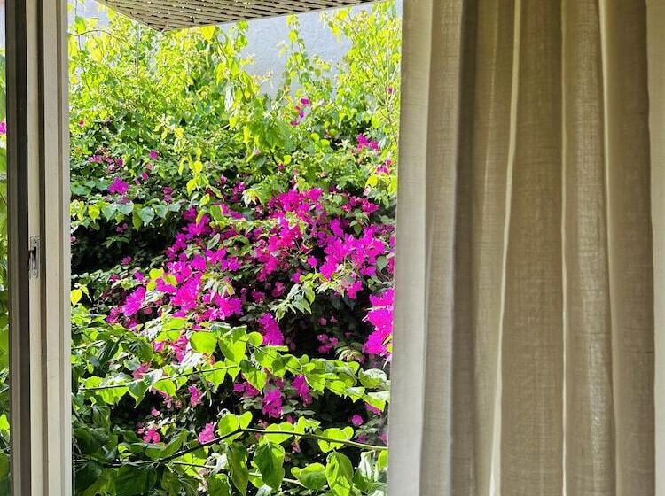 اتاق استاندارد, Alaca Butik Otel