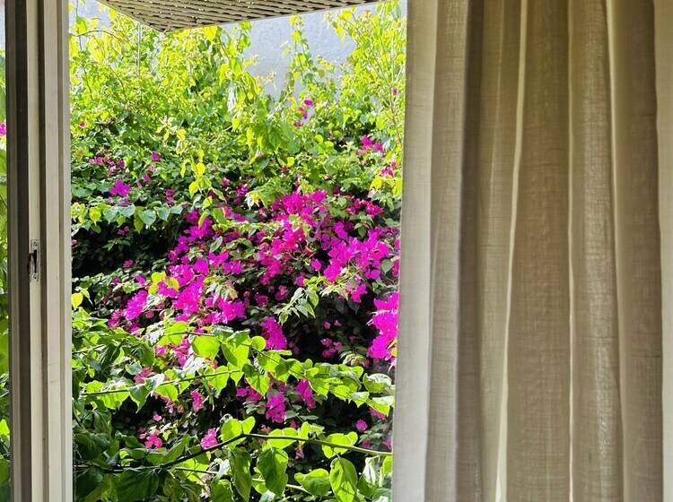 اتاق استاندارد, Alaca Butik Otel