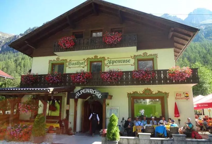 スタンダードルーム, Pension Nina & Gasthof Alpenrose
