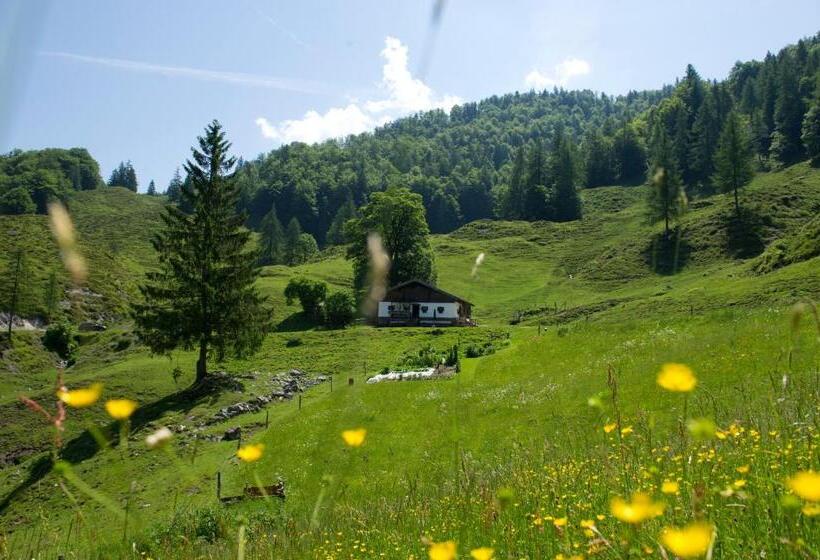 Люкс, Noichl’s Hotel Garni