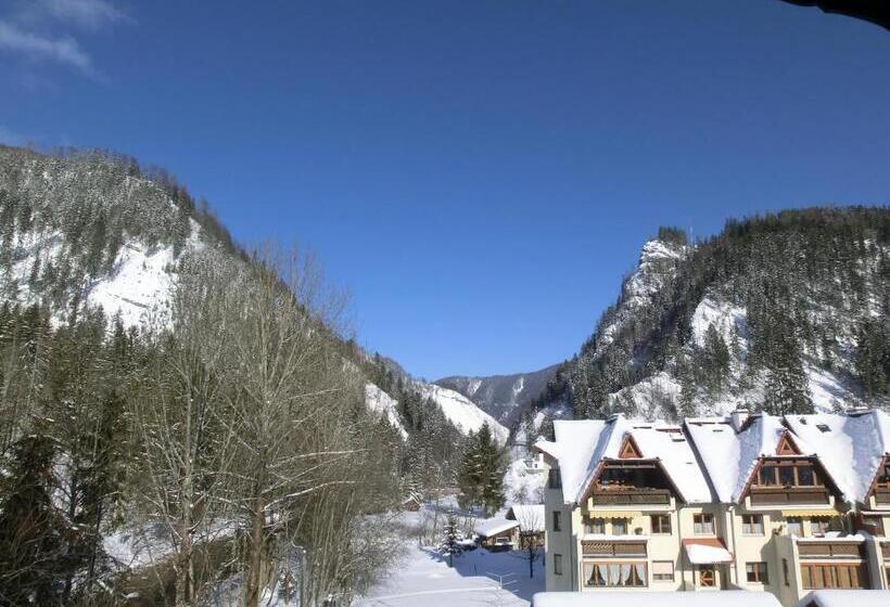 Номер Стандарт Вид на Горы, Garni Landhaus Bürtlmair