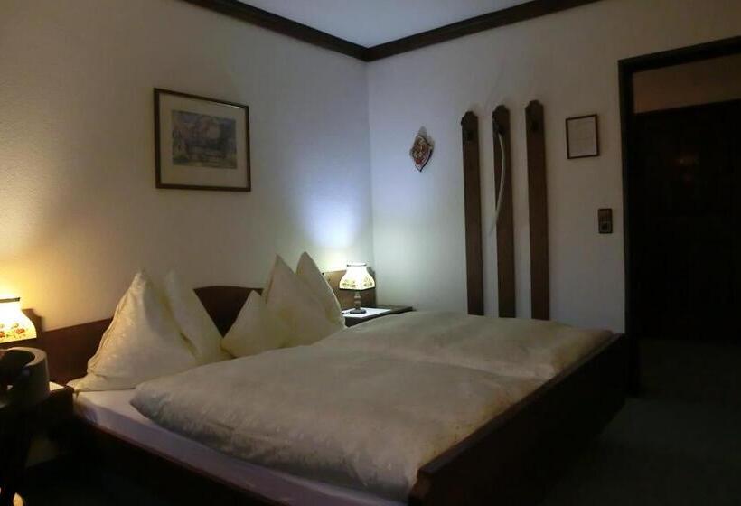 Номер Стандарт Вид на Горы, Garni Landhaus Bürtlmair