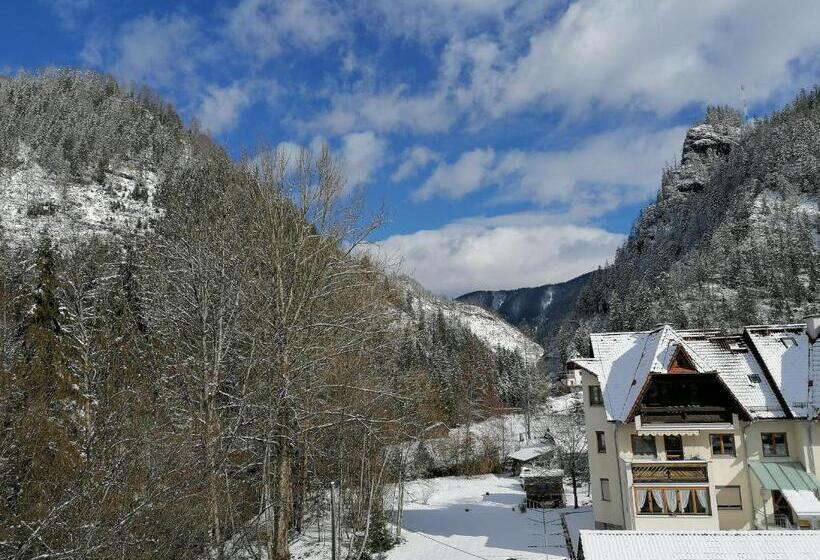 Номер Стандарт Вид на Горы, Garni Landhaus Bürtlmair