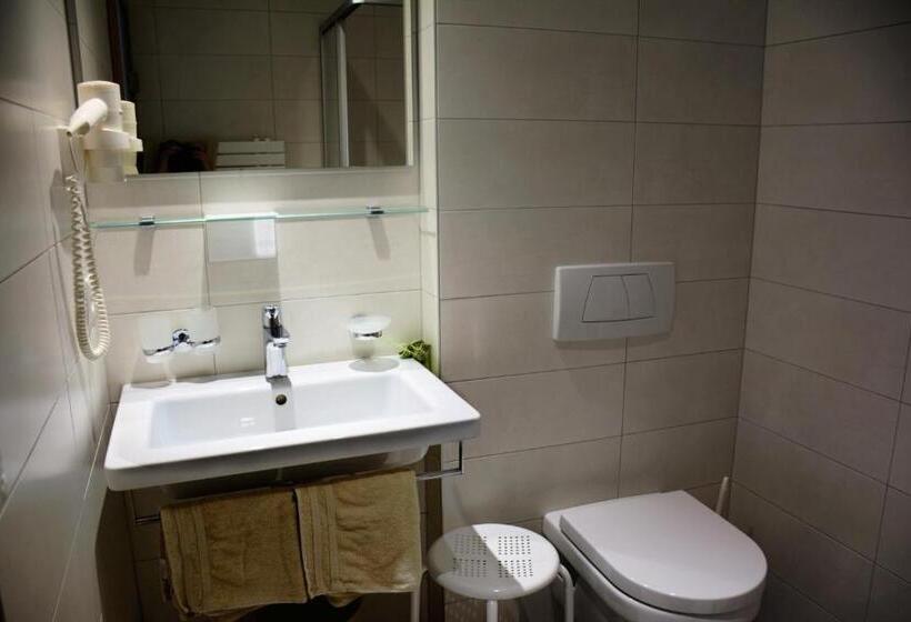 اتاق استاندارد, Gletscher Landhaus Brunnenkogel