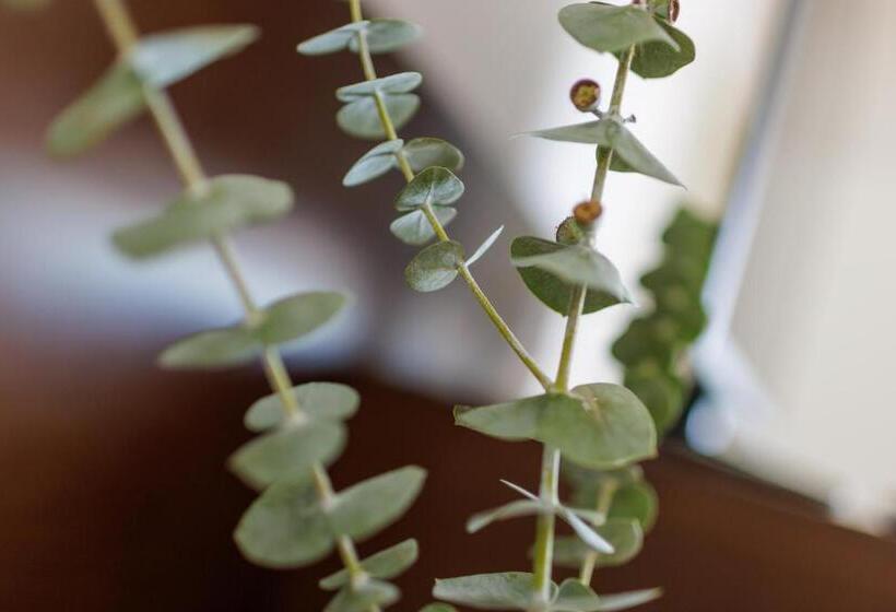 חדר סטנדרט, Garni Toscanina   Adults Only