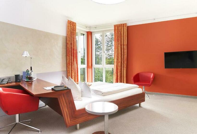 スタンダードルーム, Maxlhaid