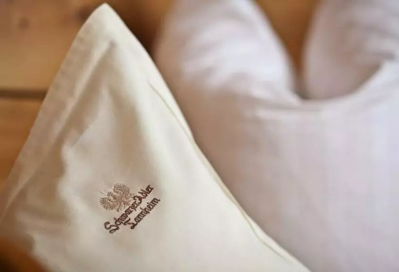 バルコニー付きデラックスルーム, Das Traditionshotel Schwarzer Adler