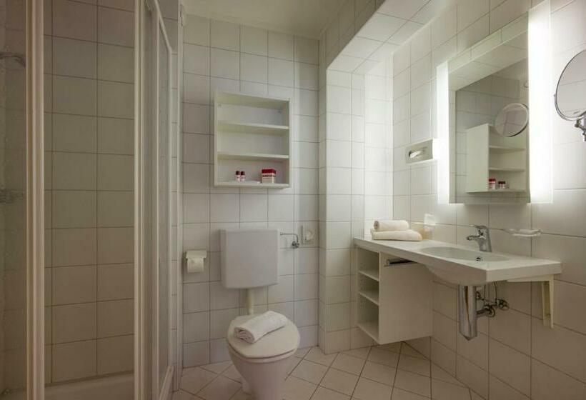 스탠다드 발코니 룸, Zum Pinzger