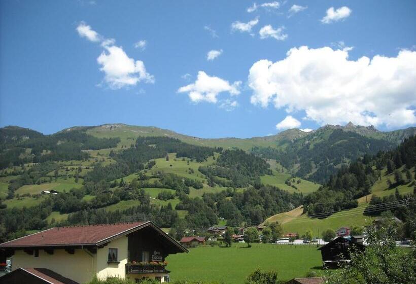 آپارتمان راحتی 1 خوابه, Landhaus & Appartementhaus Haussteiner