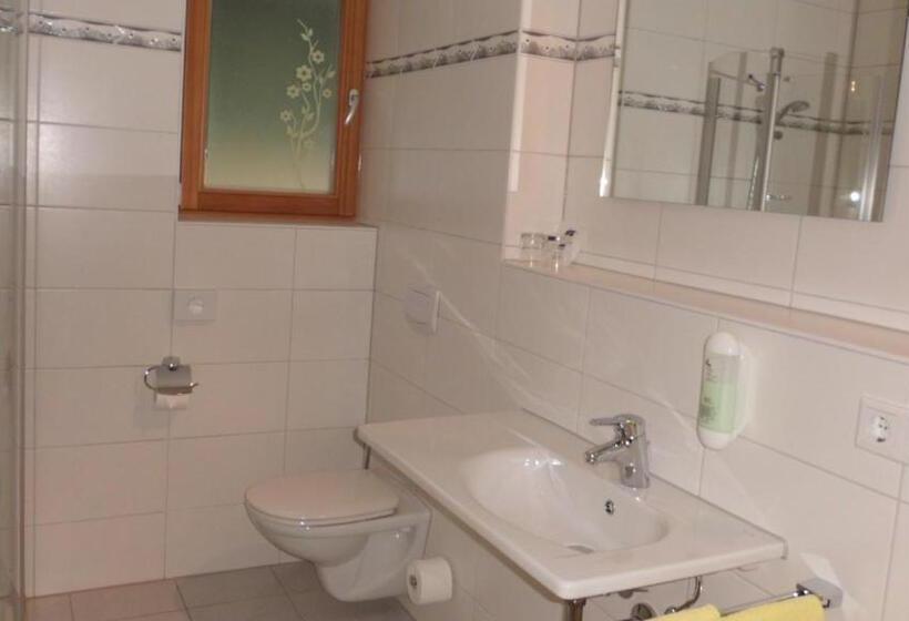 Superior studio with balcony, Alpina Appartements