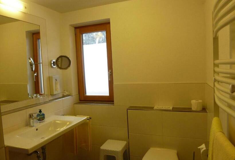 Superior studio with balcony, Alpina Appartements