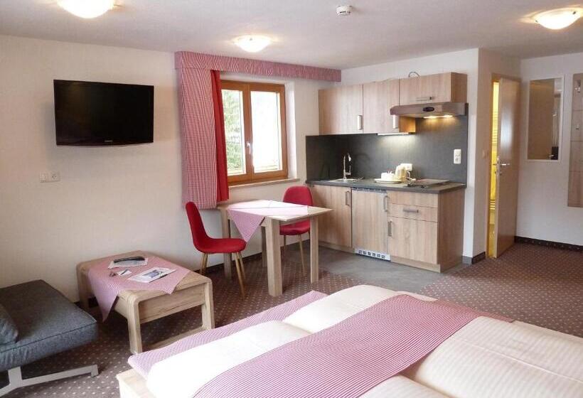 Superior studio with balcony, Alpina Appartements