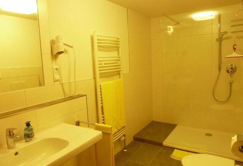 Superior studio with balcony, Alpina Appartements