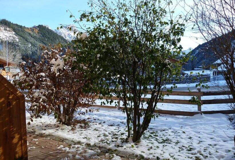 스탠다드 스튜디오 (전망), Alpina Appartements