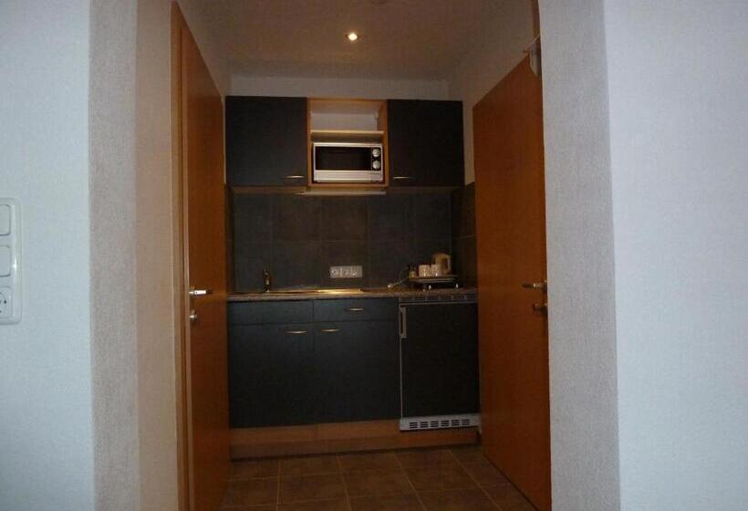 Студио Стандарт с Видом, Alpina Appartements
