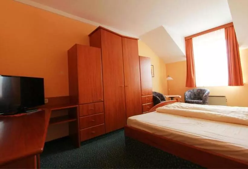 اتاق استاندارد یک نفره, Vitalhotel Krainz