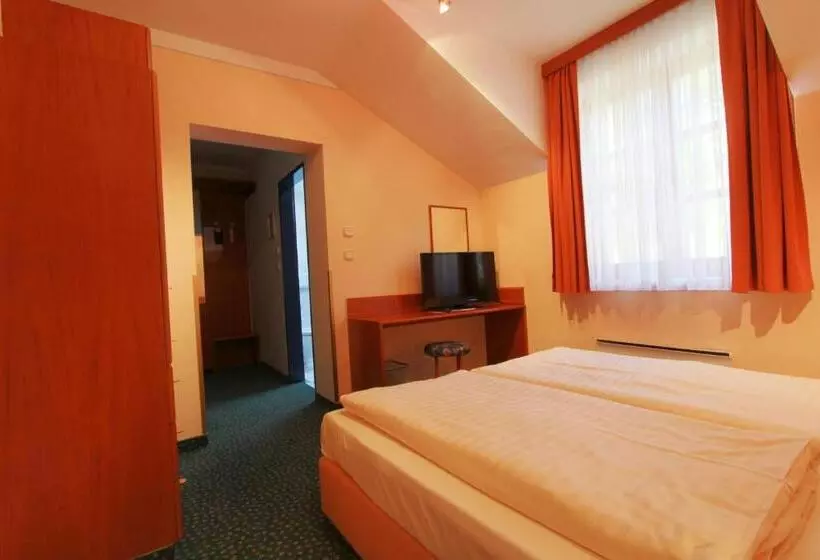 اتاق استاندارد یک نفره, Vitalhotel Krainz