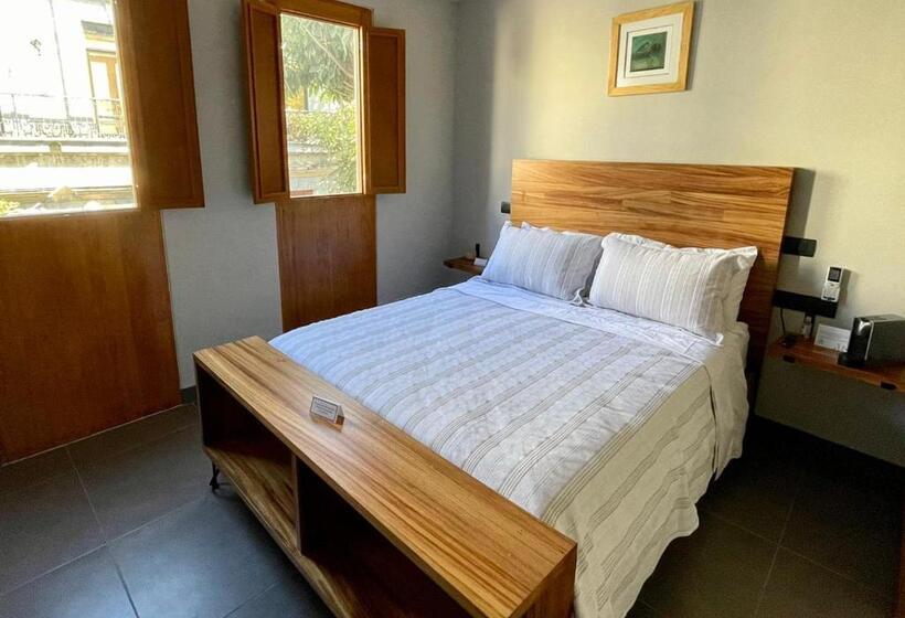 Номер Стандарт, Casa Olié